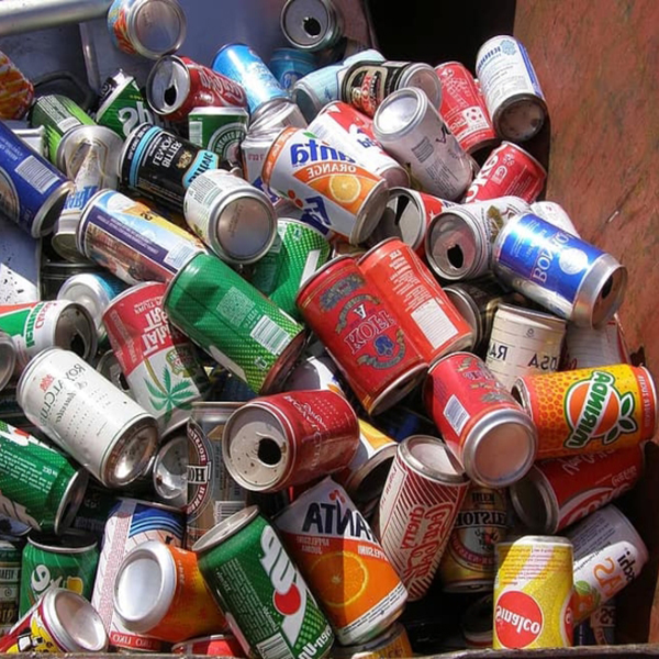 Can-disposal